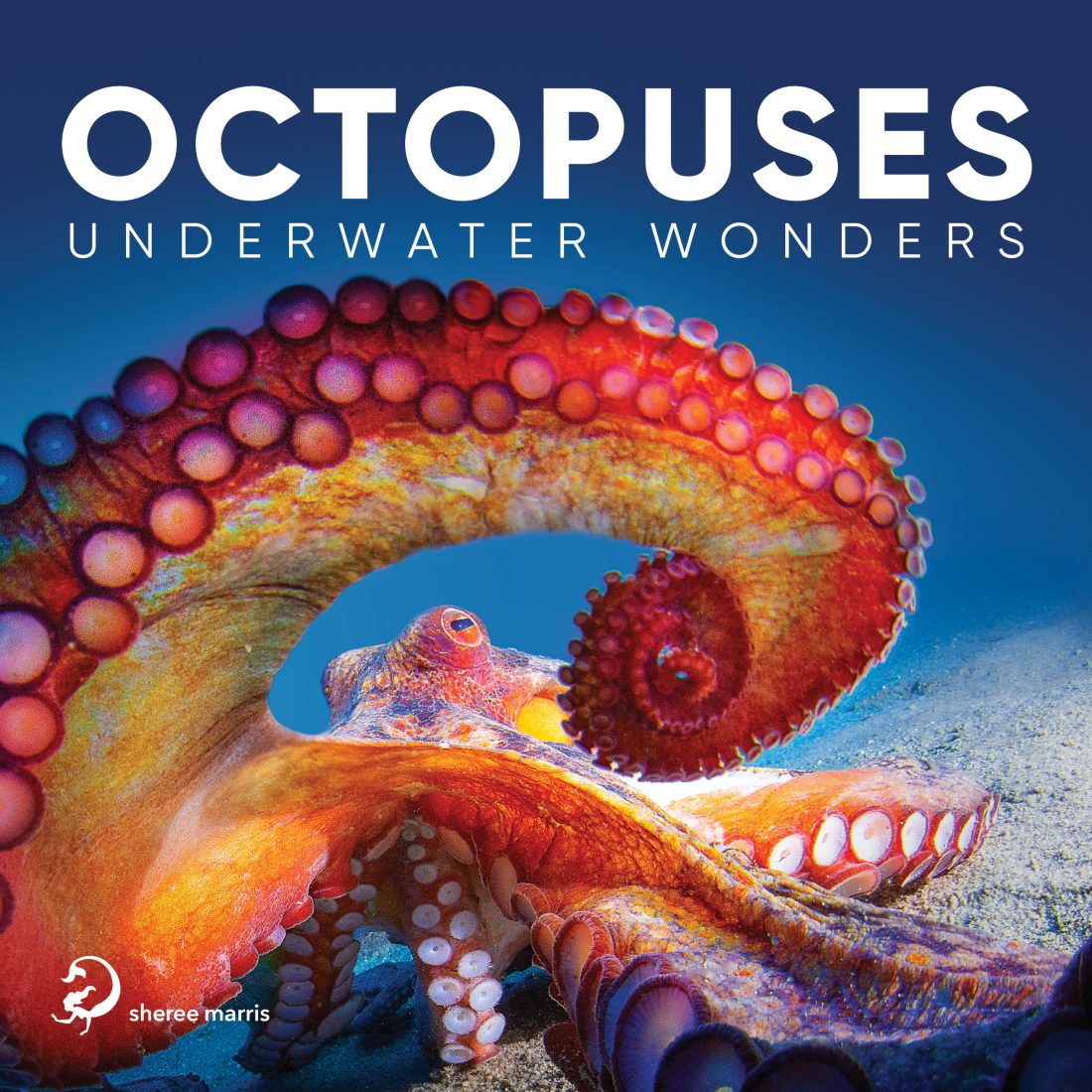 Octopuses: Underwater Wonders