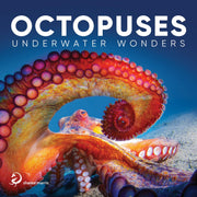 Octopuses: Underwater Wonders