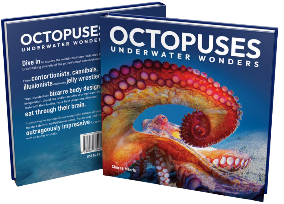 Octopuses: Underwater Wonders