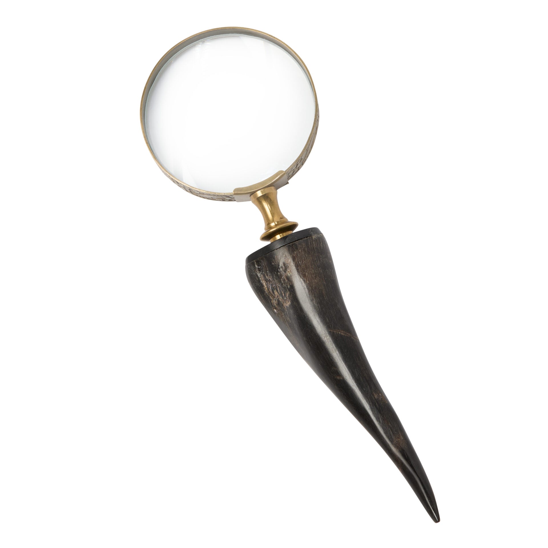 Horn Magnifier