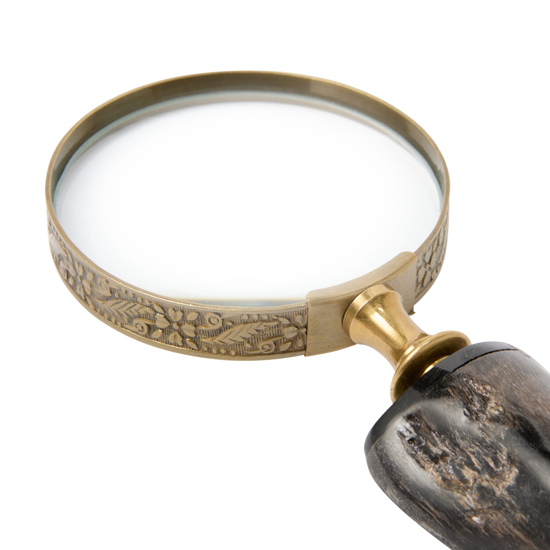 Horn Magnifier