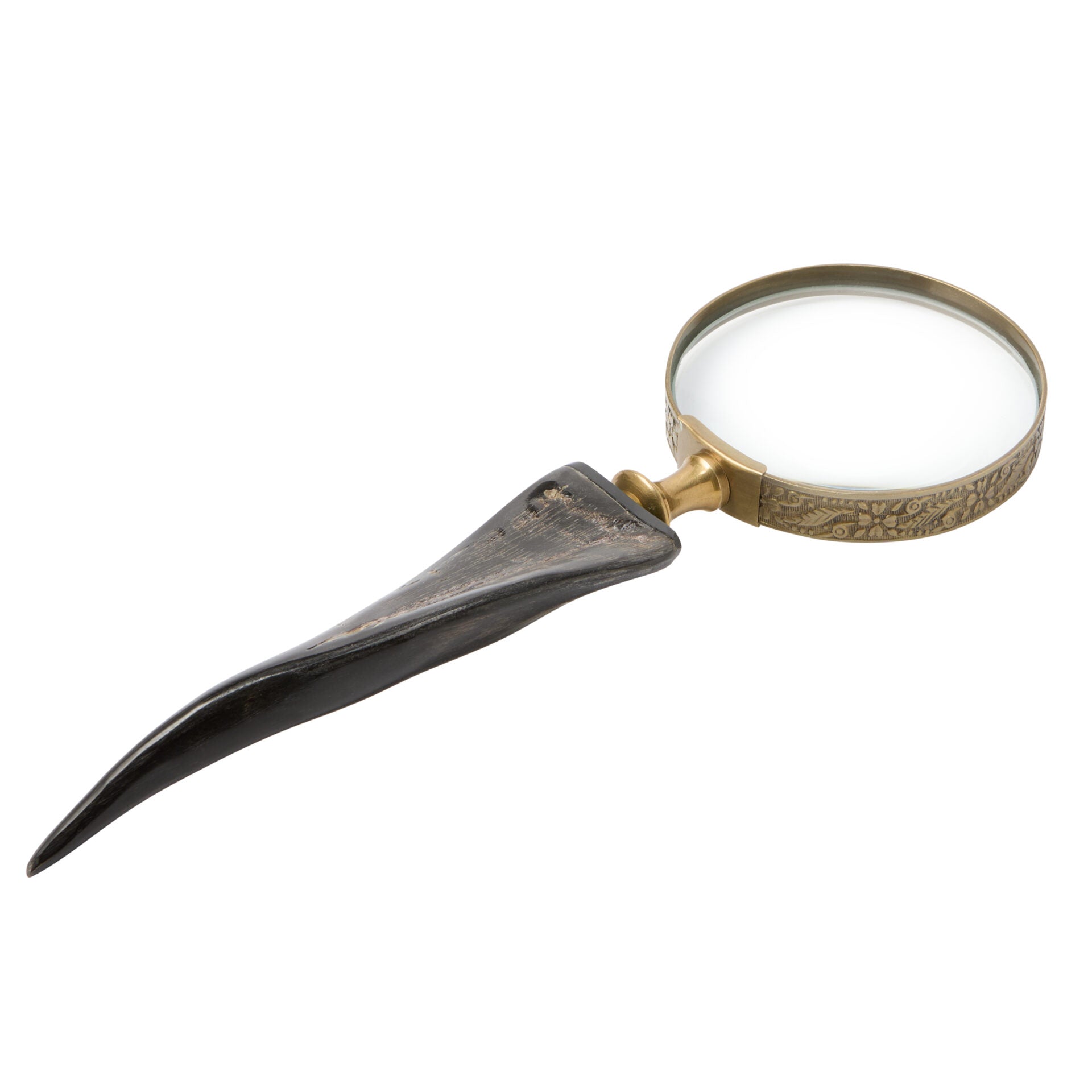 Horn Magnifier