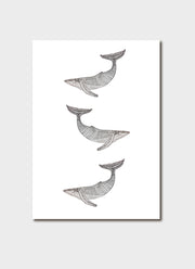 Greeting Card - Migalu Yalingbilla