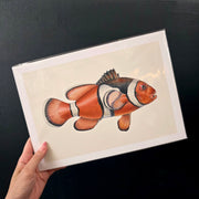 A4 Print Stackpool Collection - Orange Anemone Fish