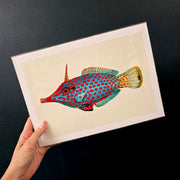 A4 Print Stackpool Collection - Beaked Leather Jacket