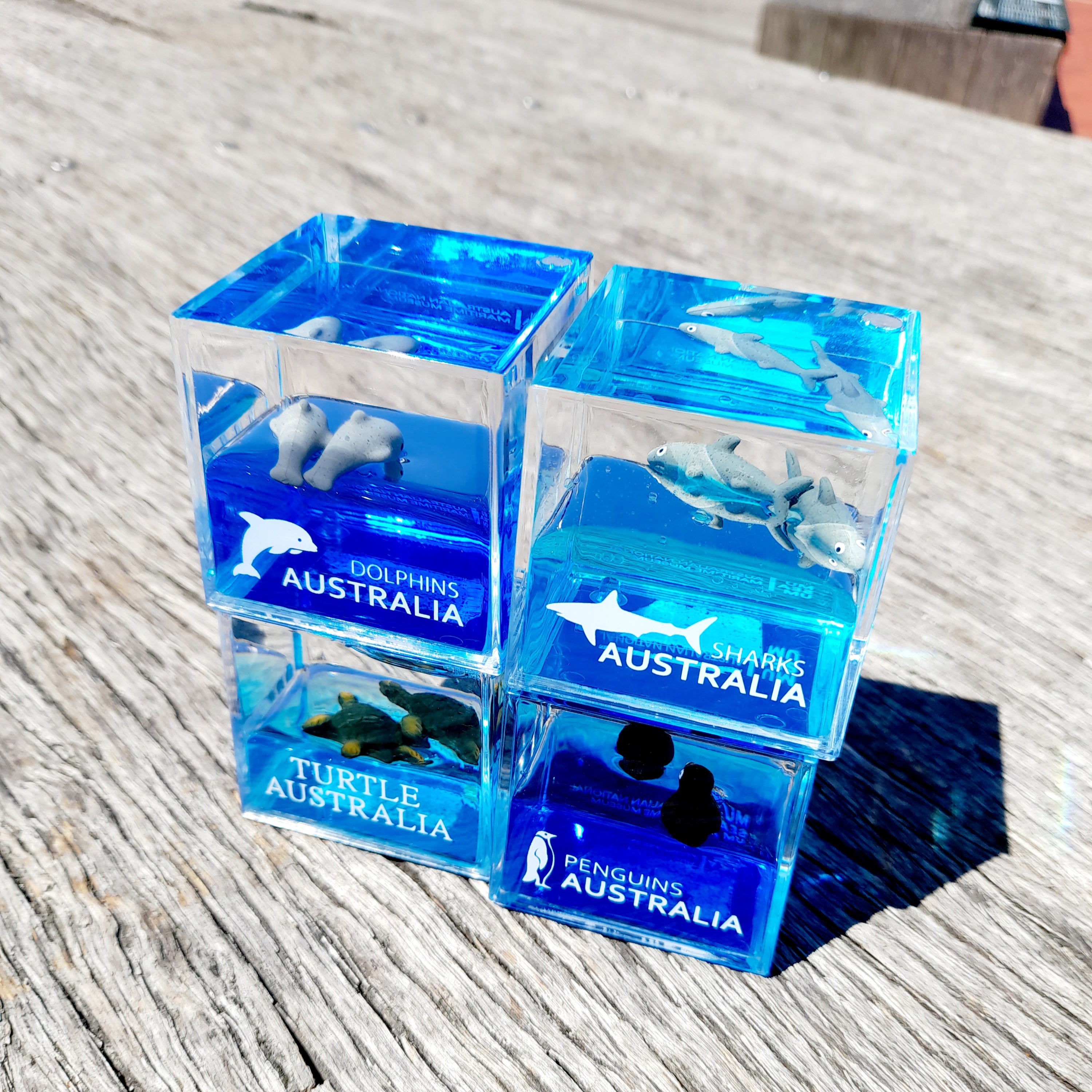 Water Cube Paperweight - Penguin