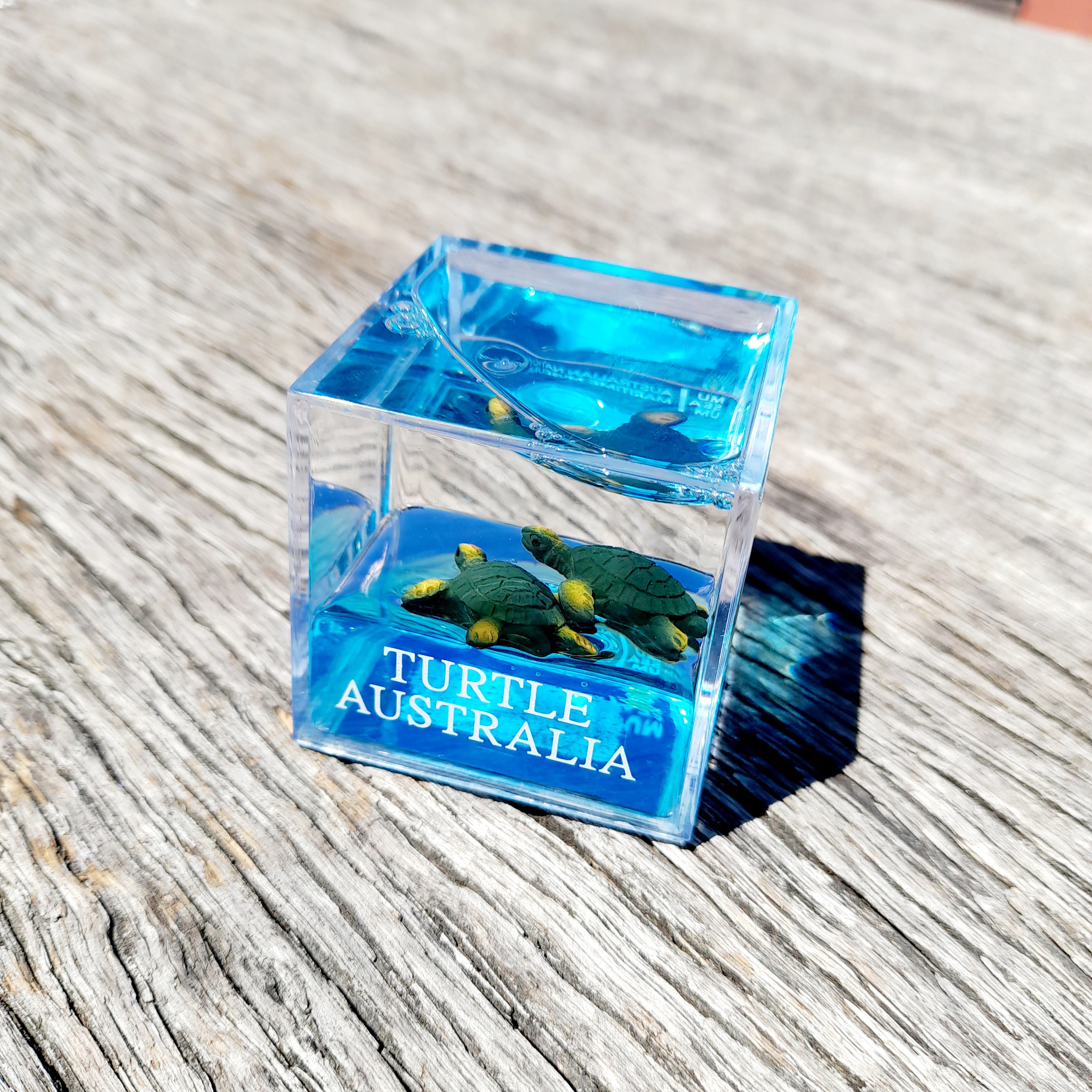 Water Cube Paperweight - Turtle