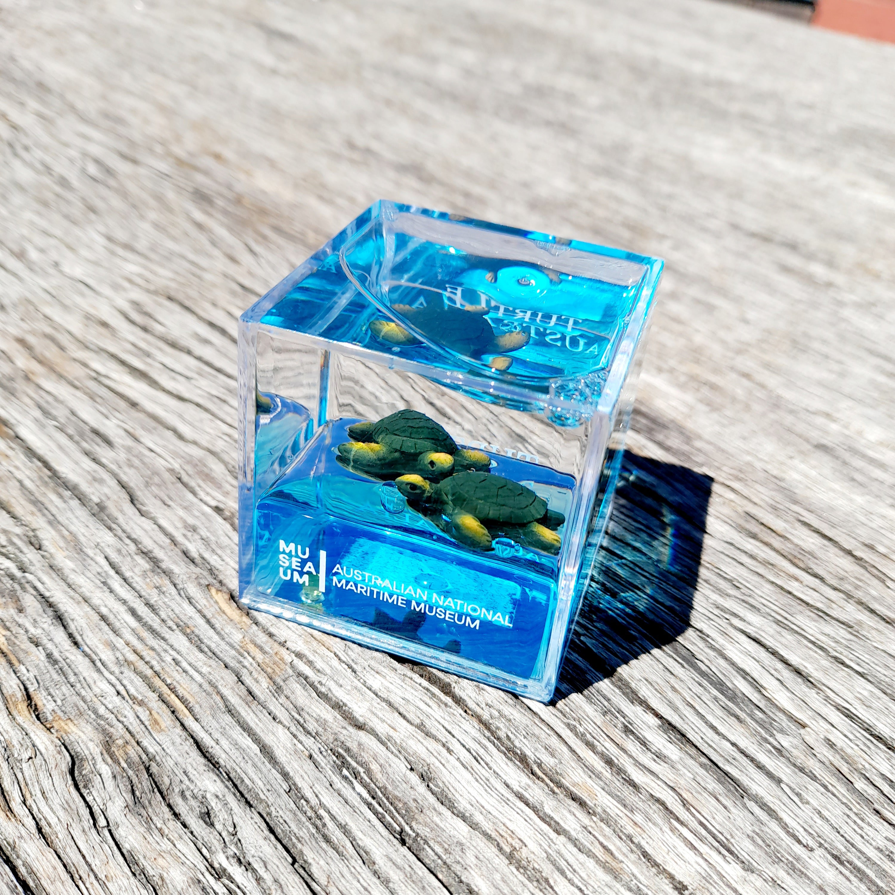 Water Cube Paperweight - Turtle