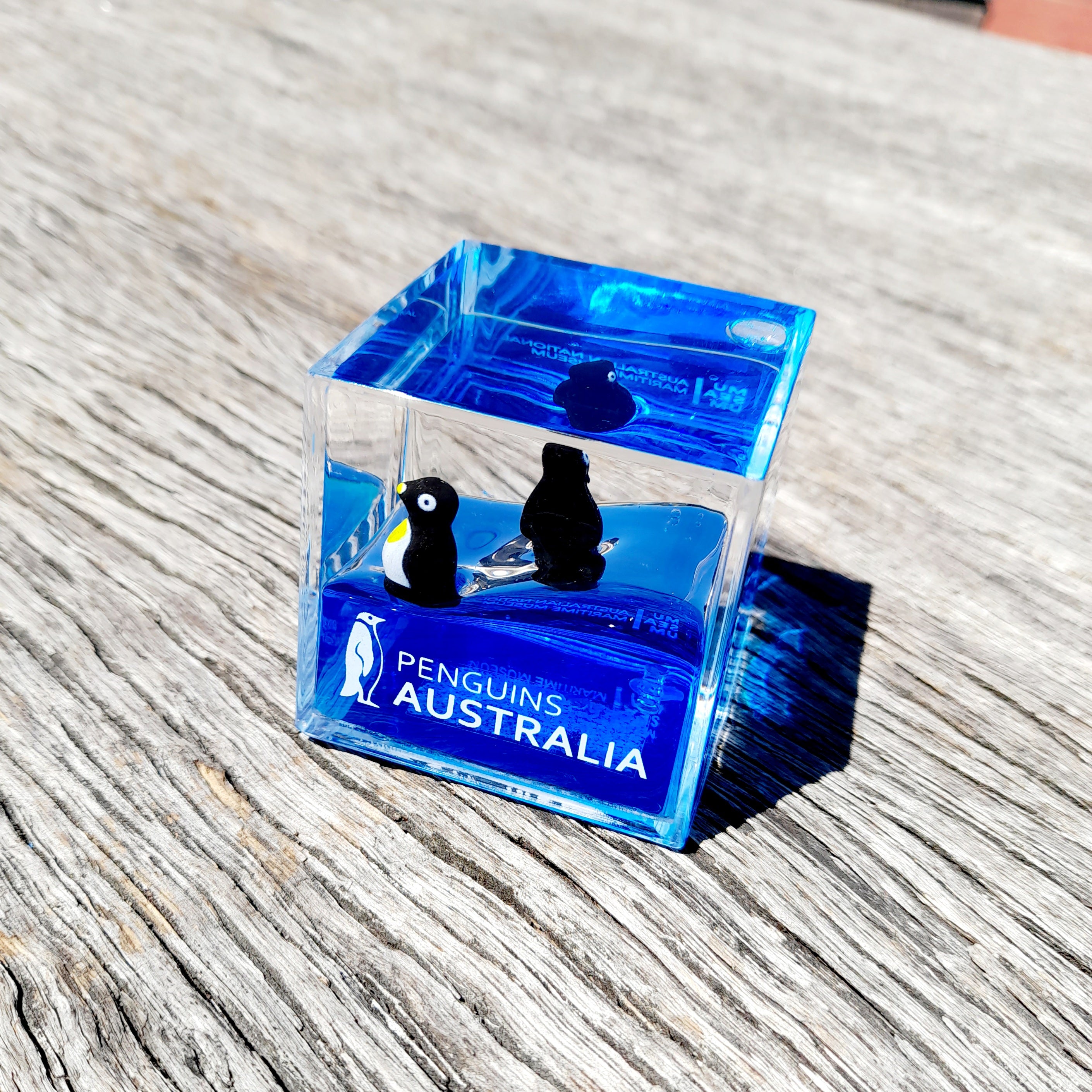 Water Cube Paperweight - Penguin