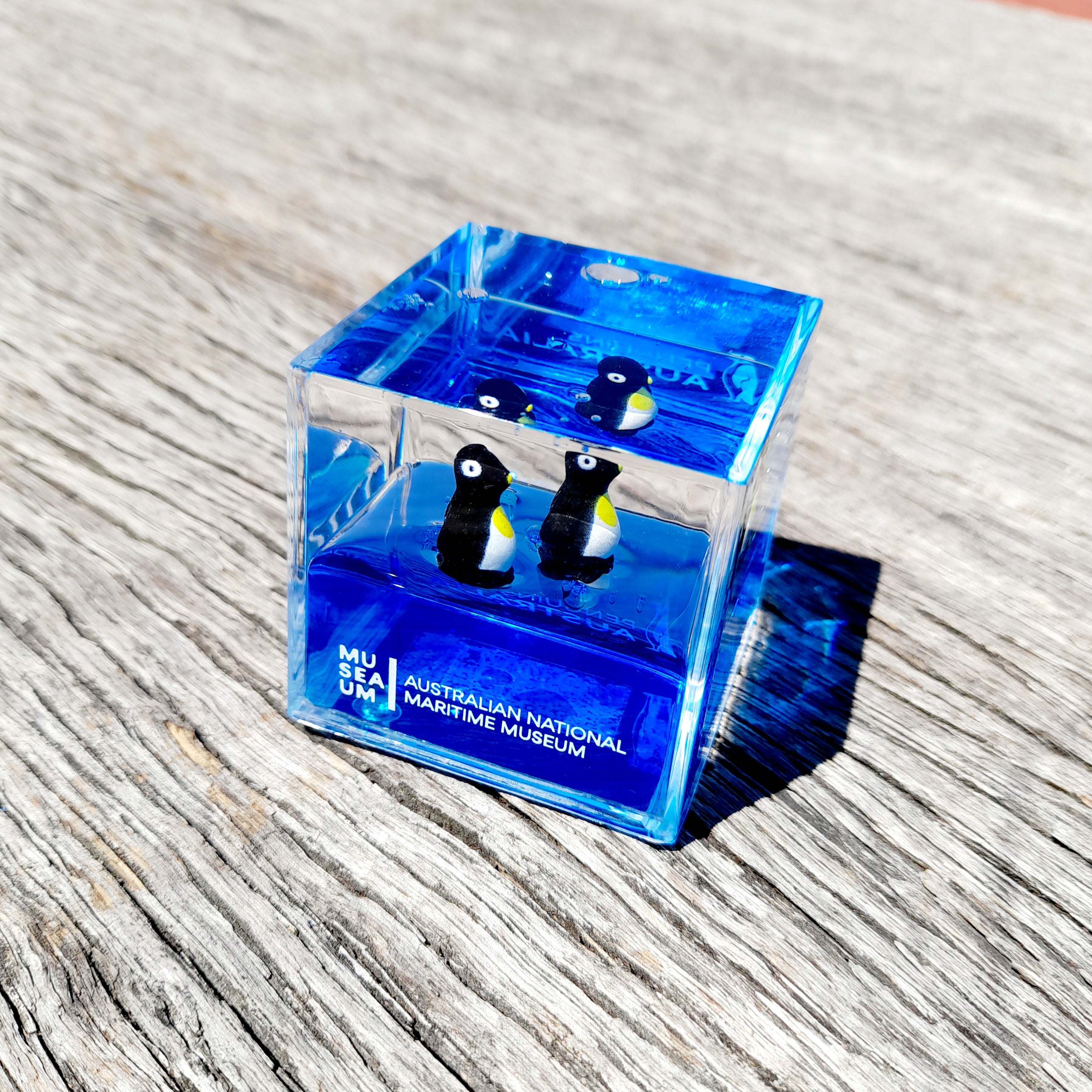 Water Cube Paperweight - Penguin