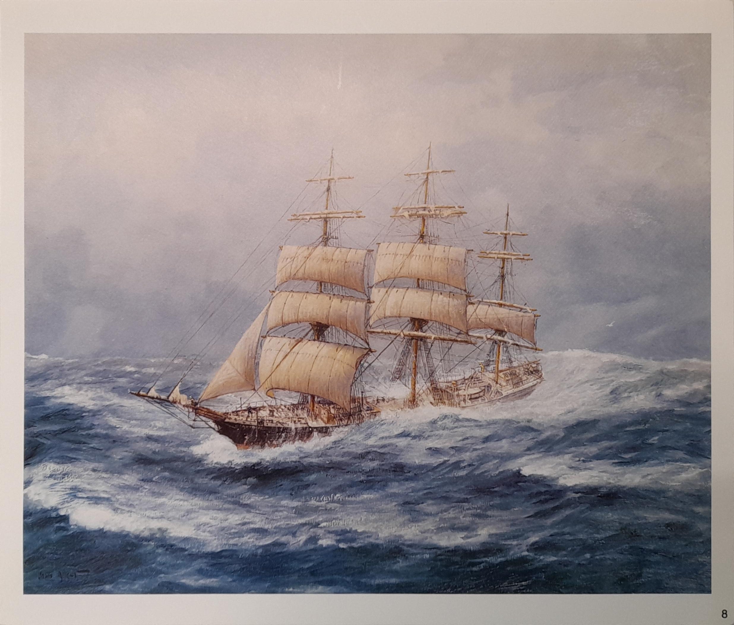 Allcot Print - Antiope