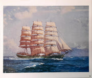 Allcot Print - Aristides