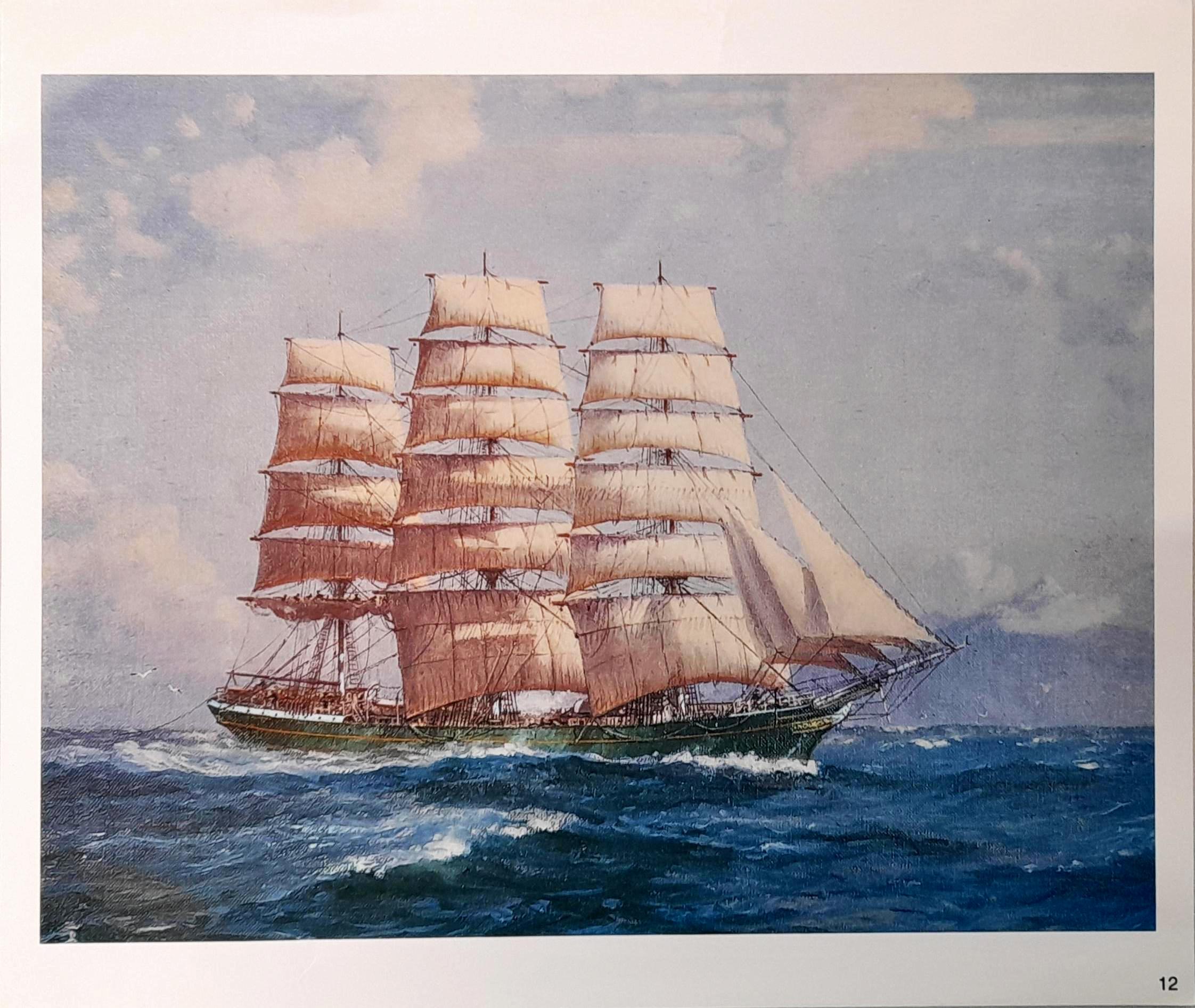 Allcot Print - Aristides