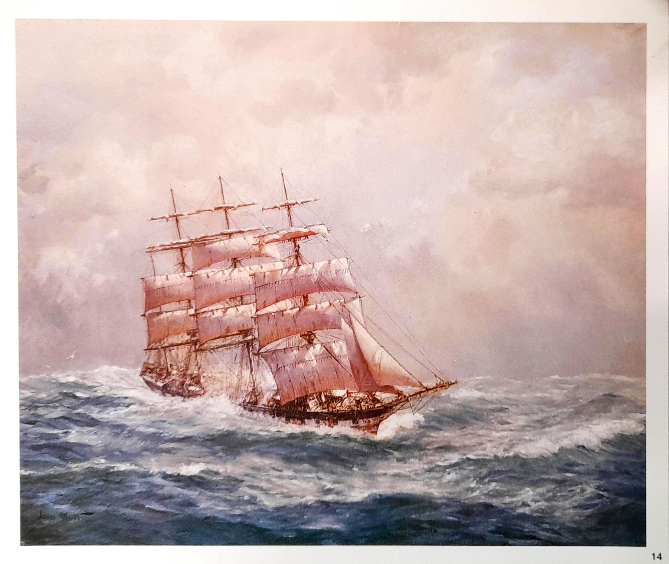 Allcot Print - Port Jackson