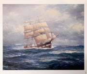 Allcot Print - Veritas