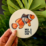 Ceramic Coaster - Stackpool Collection - Orange Anemone Fish (Circle)