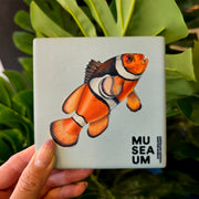 Ceramic Coaster - Stackpool Collection - Orange Anemone Fish (Square)