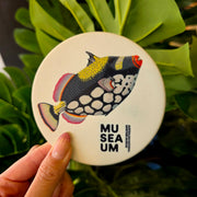 Ceramic Coaster - Stackpool Collection - Clown Trigger Fish (Circle)