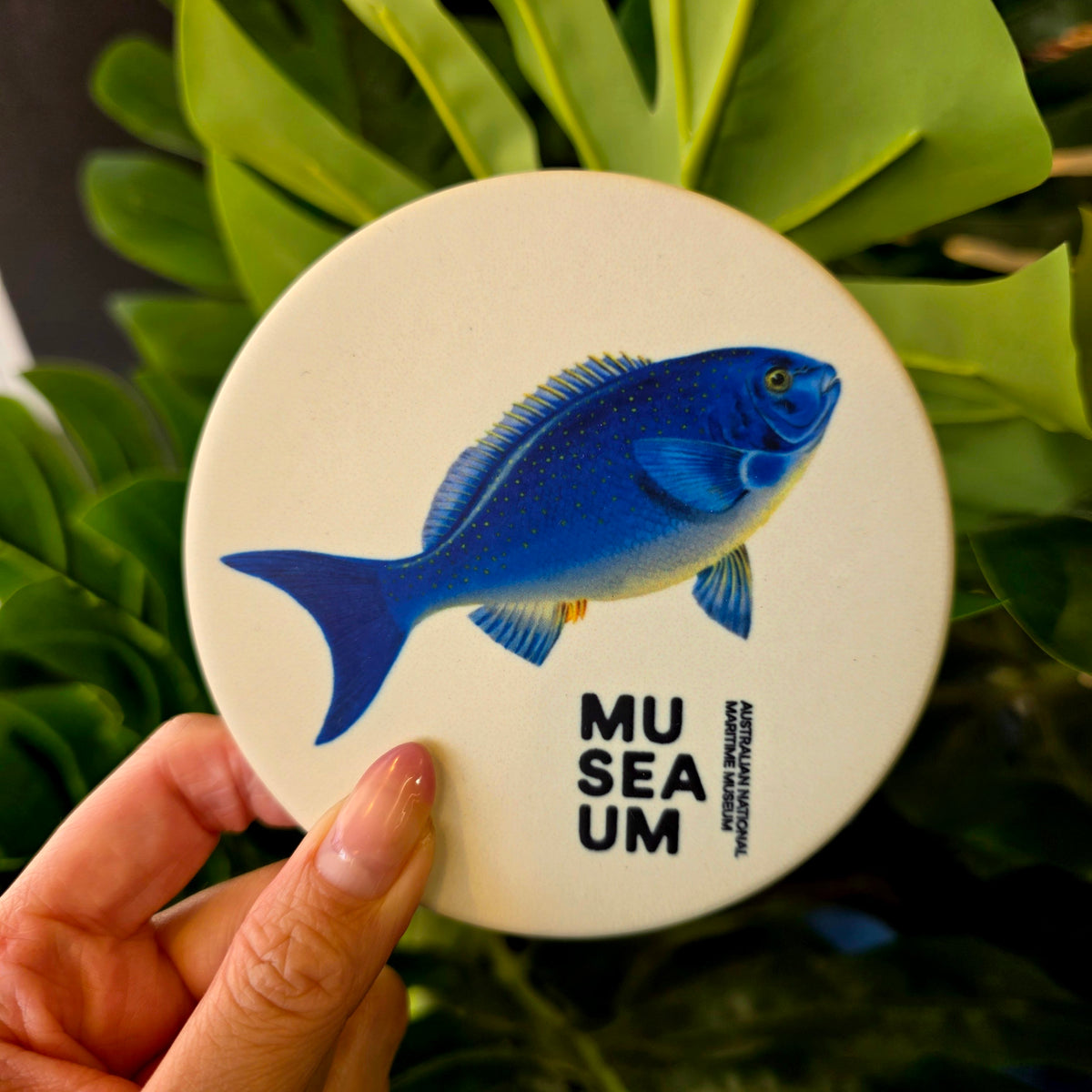 Ceramic Coaster - Stackpool Collection - Bluefish (Circle)