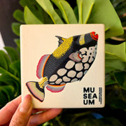 Ceramic Coaster - Stackpool Collection - Clown Trigger Fish (Square)