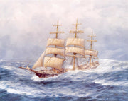 Allcot Print - Antiope