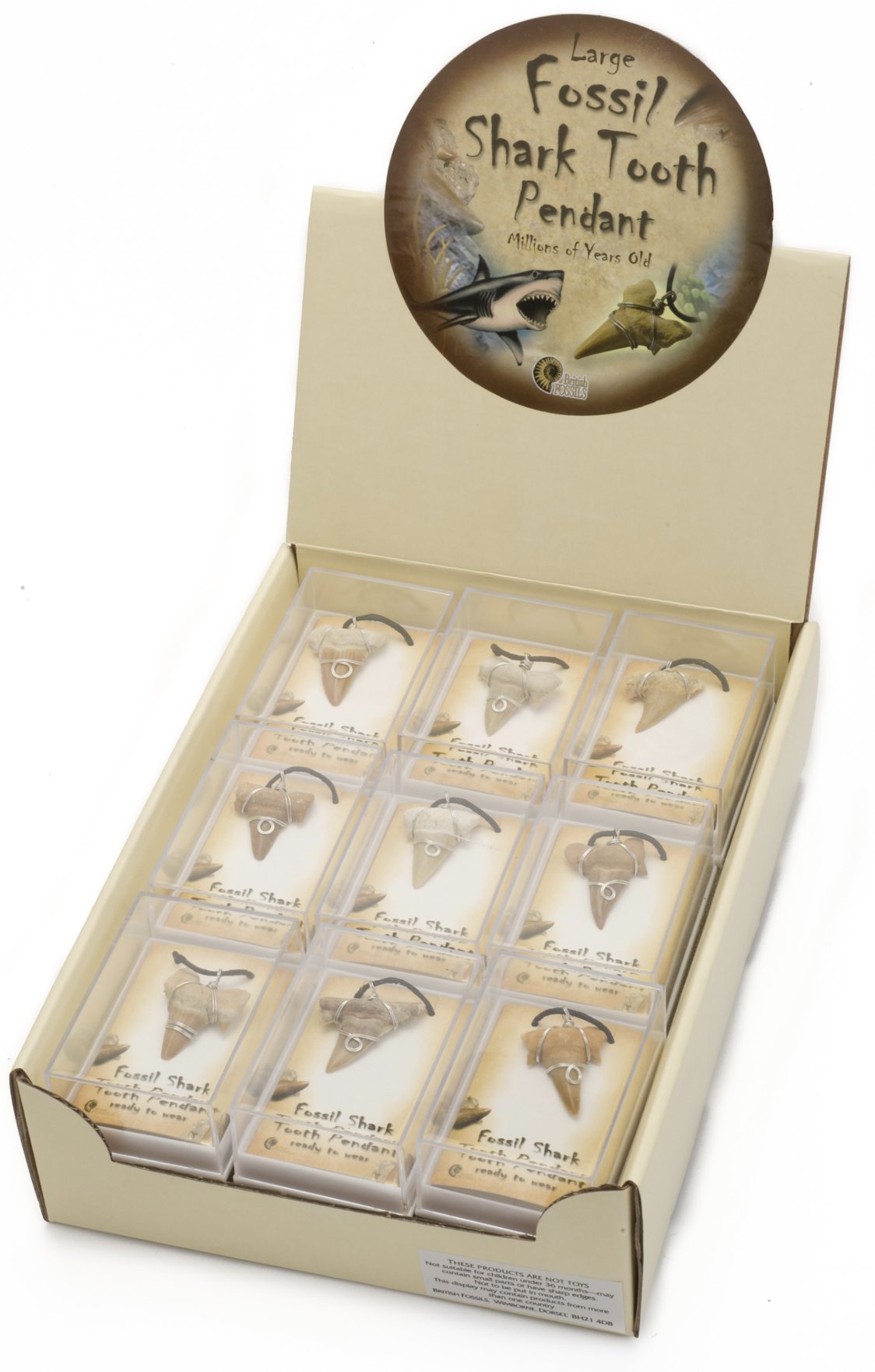Fossil Shark Tooth Pendant