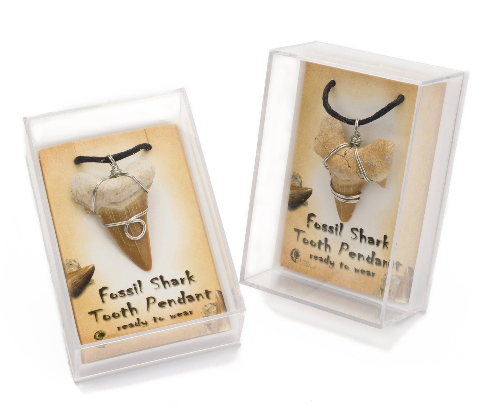 Fossil Shark Tooth Pendant