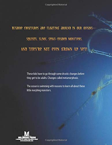 Little Monsters of the Ocean: Metamorphosis Under the Waves