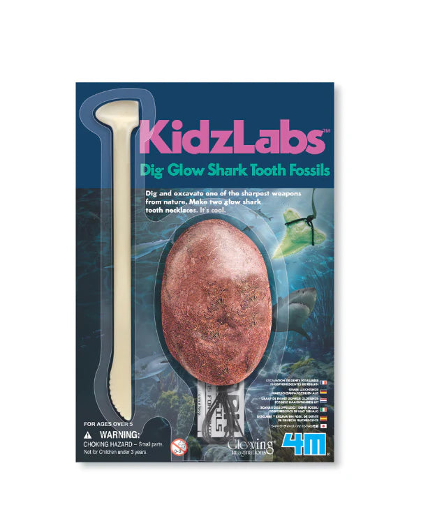 4M KidzLabs Shark Tooth Fossil