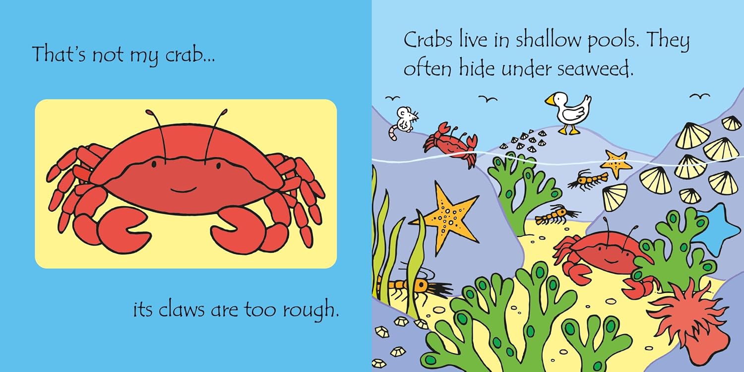 That's Not My Jigsaw Book Under the Sea