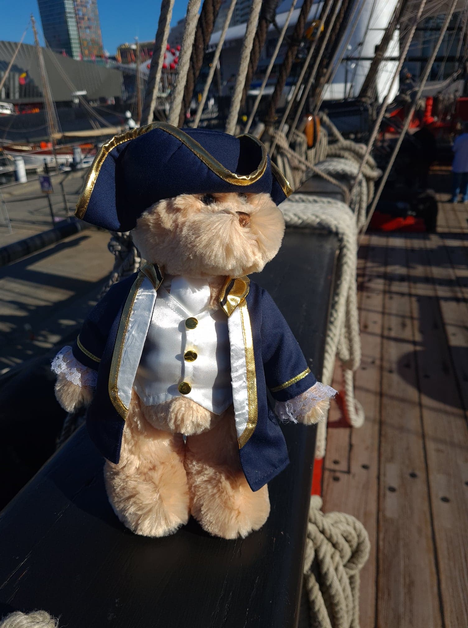 Teddy Bear - Captain James Cook