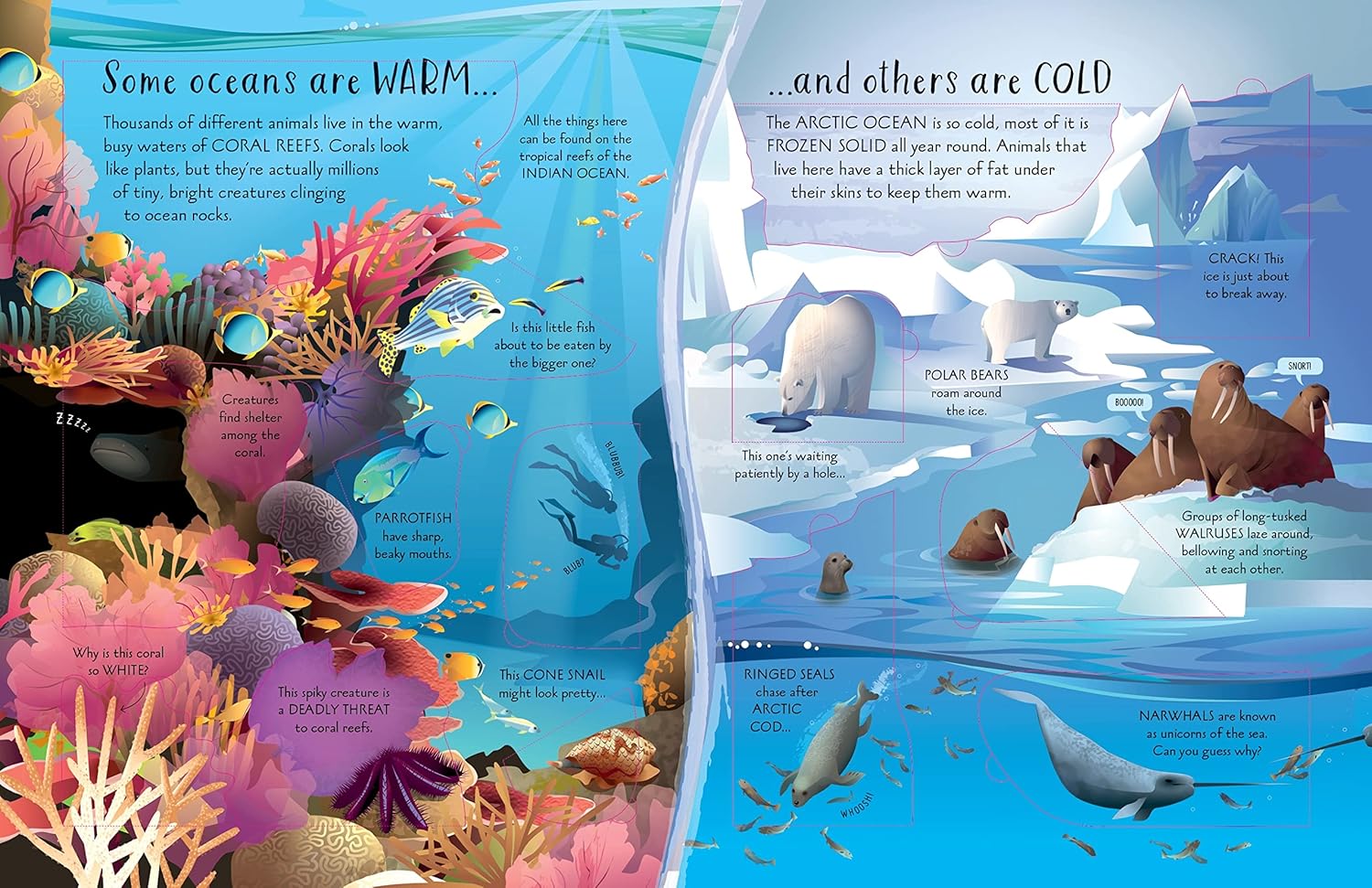 See Inside Oceans