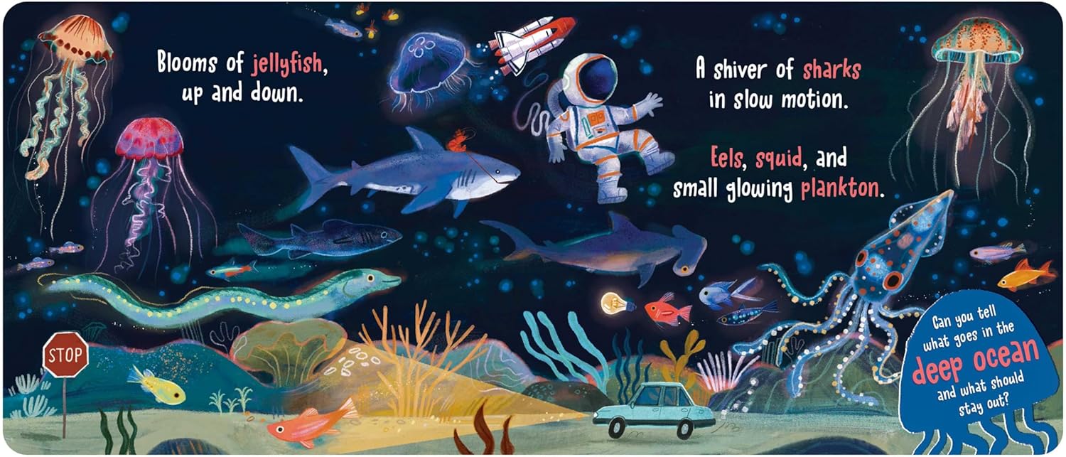 What Goes in the Ocean? A Seek-and-Find Book