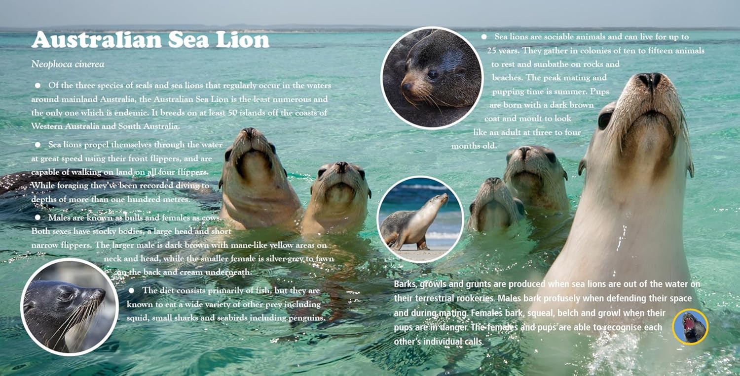 A First Book of Australian Seashore Wildlife Sounds