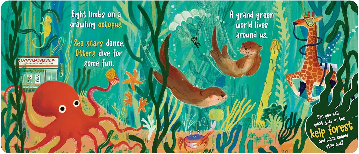 What Goes in the Ocean? A Seek-and-Find Book