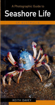A Photographic Guide to the Seashore Life of Australia