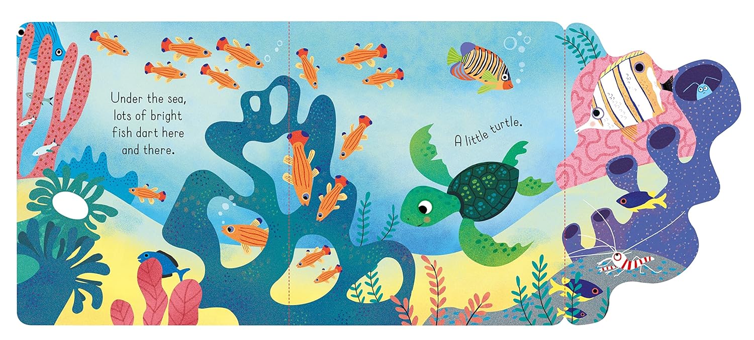 Little Lift and Look Under the Sea