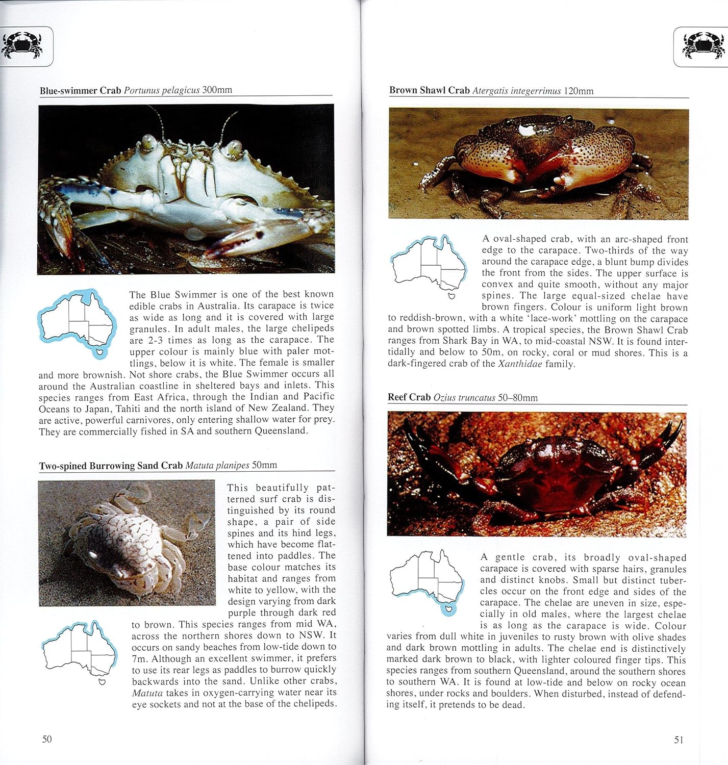 A Photographic Guide to the Seashore Life of Australia