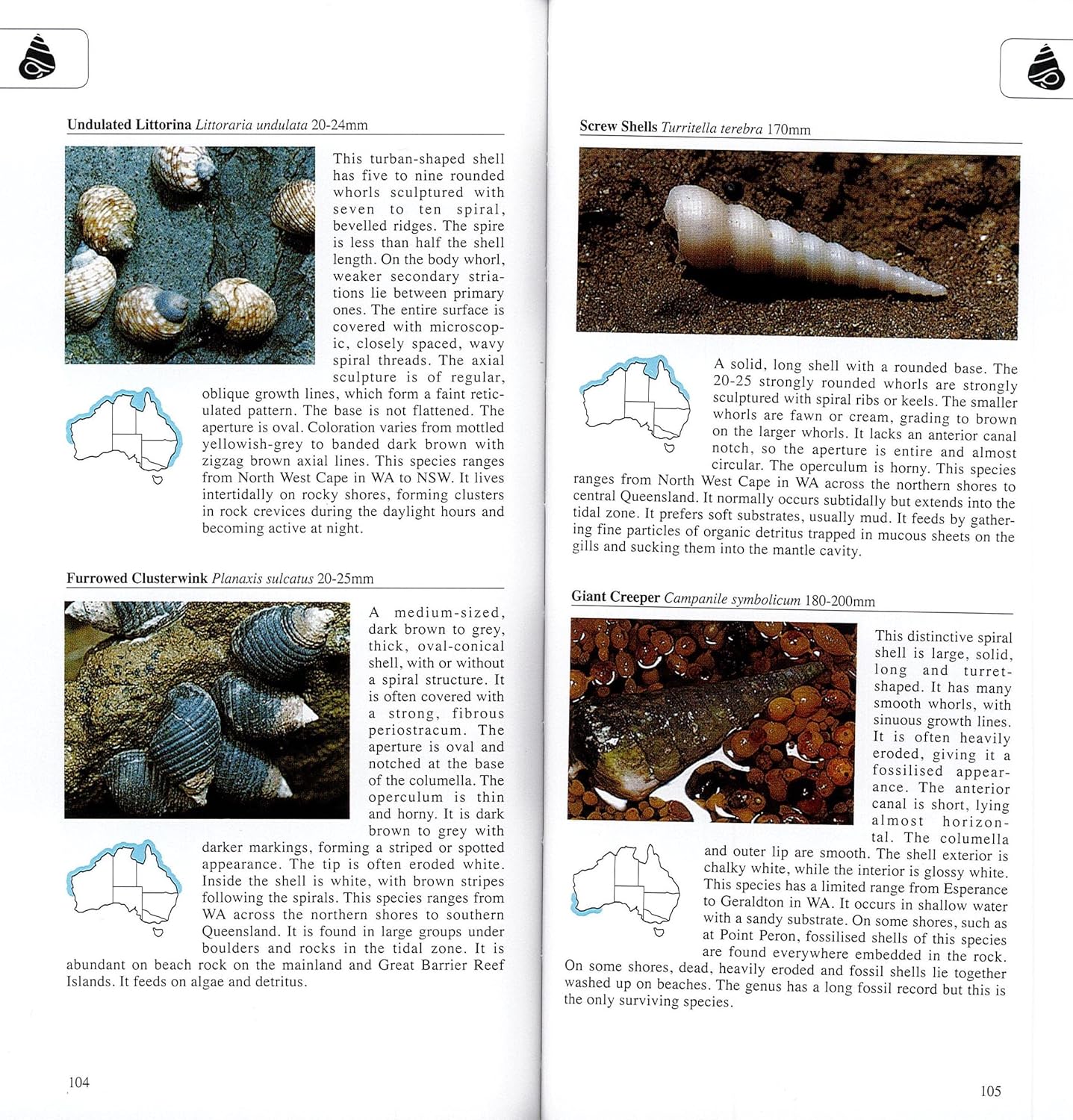 A Photographic Guide to the Seashore Life of Australia