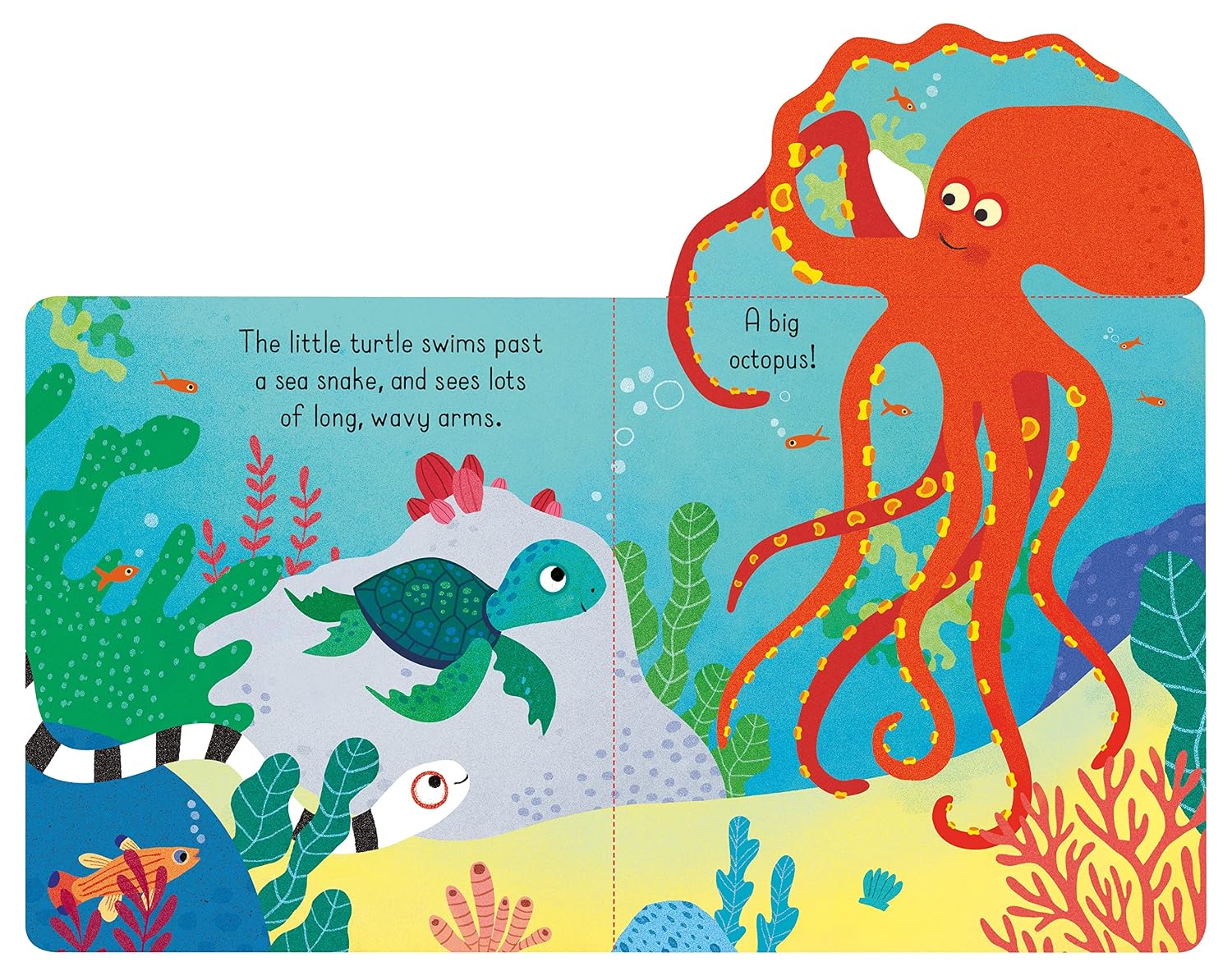 Little Lift and Look Under the Sea