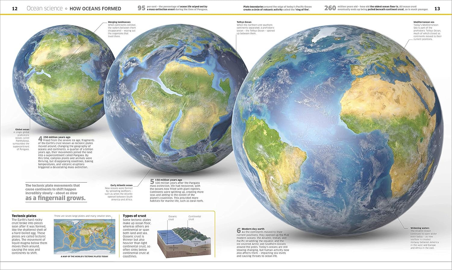 Knowledge Encyclopedia Ocean! Our Watery World As You've Never Seen It Before