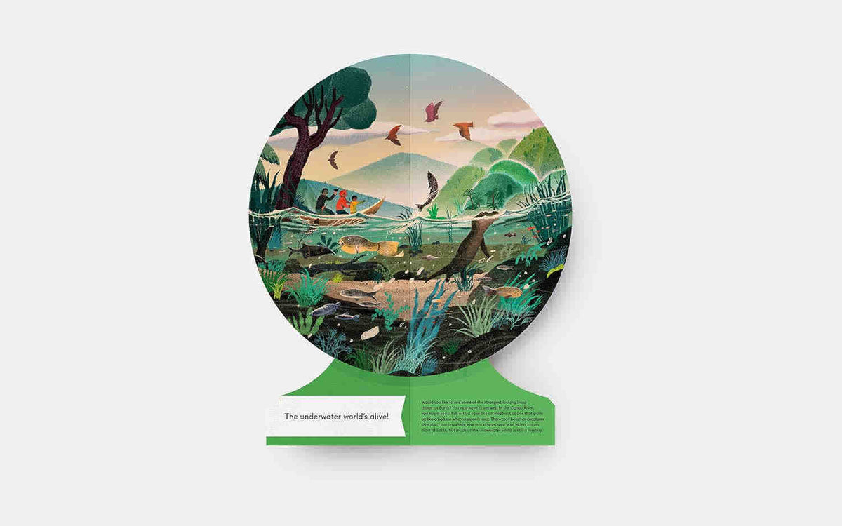 Our Underwater World: A First Dive into Oceans, Lakes, and Rivers