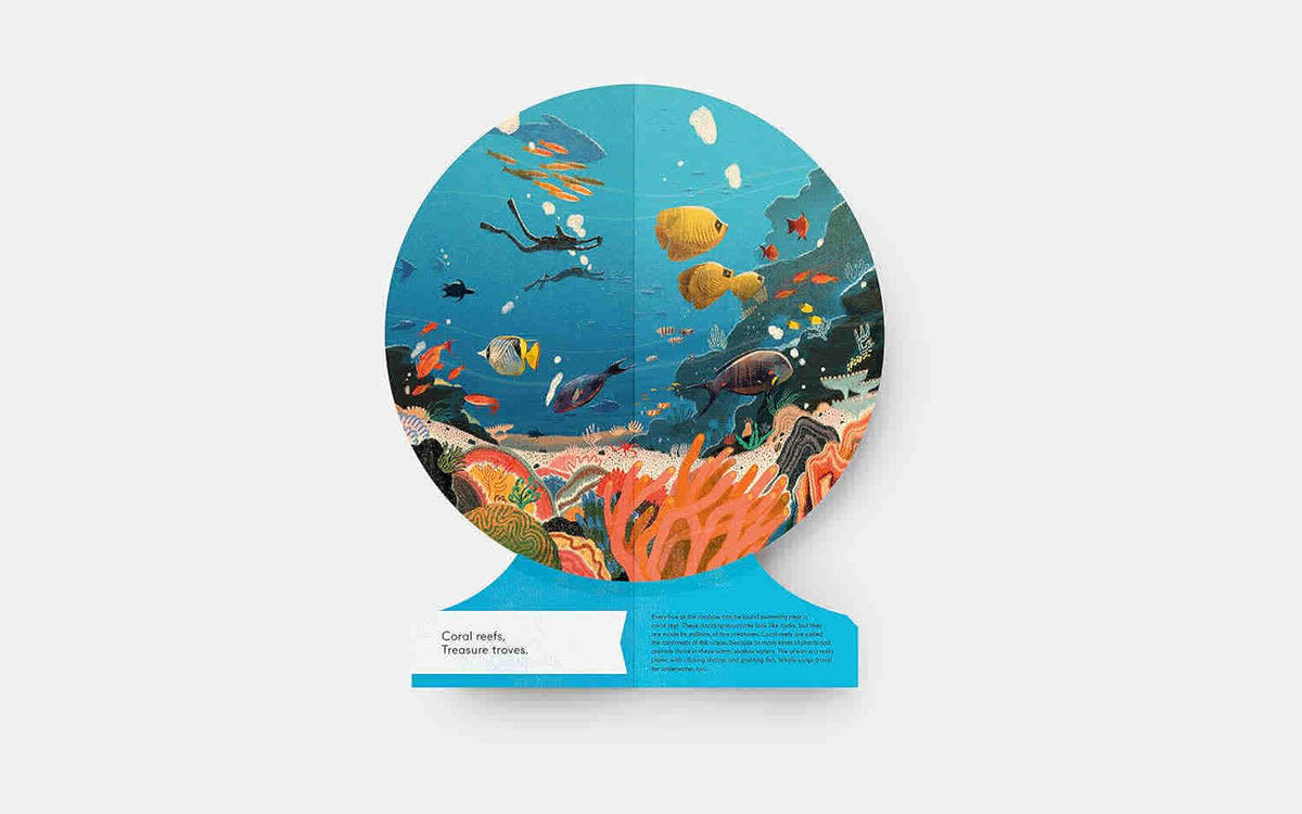 Our Underwater World: A First Dive into Oceans, Lakes, and Rivers