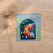 Acrylic Magnet - Cuttlefish