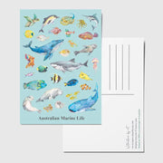 Australian Marine Ocean Animals Collection Postcard