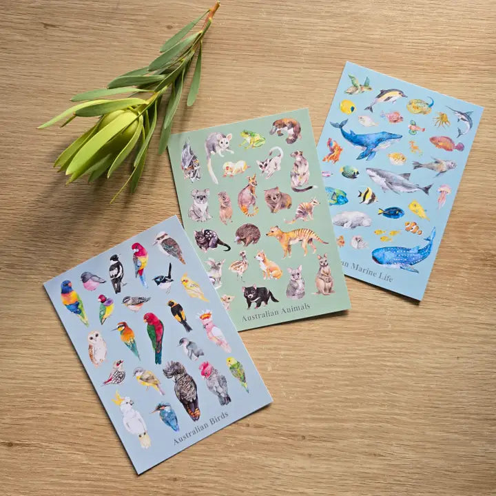 Australian Marine Ocean Animals Collection Postcard
