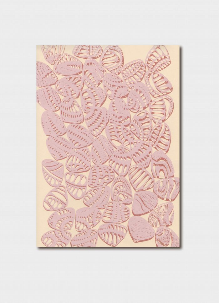 Greeting Card - Sea Shells