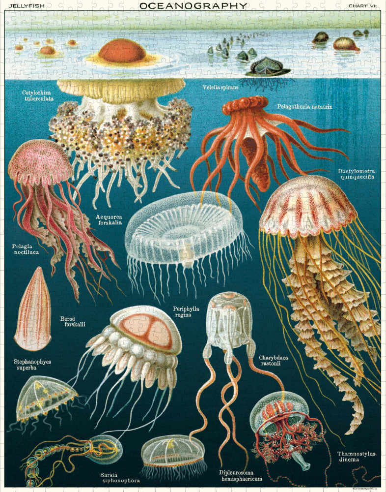 Jellyfish Puzzle | 1000 pieces