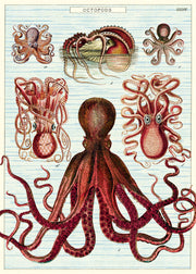 Vintage Poster - Octopus