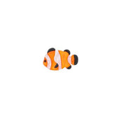 Brooch - Clownfish